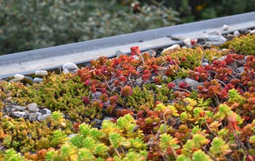 the cost of Ugley green roof installation