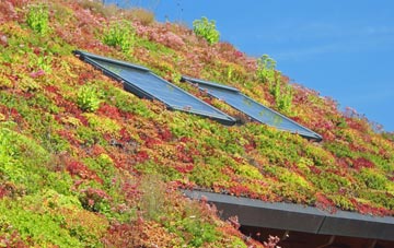 Ugley living roof systems